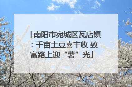 南阳市宛城区瓦店镇：千亩土豆喜丰收 致富路上迎“薯”光